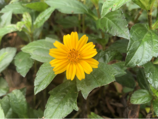 深圳風向標教育資源股份有限公司 深圳風向標教育資源股份有限公司